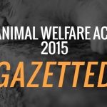 21Jan2016_AWA2015