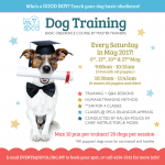 DogTraining_800px