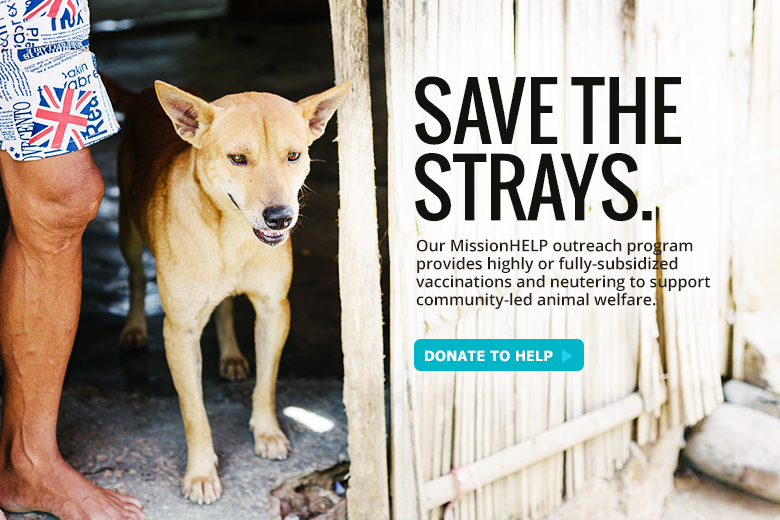 MissionHELP: Save The Strays - SPCA Selangor