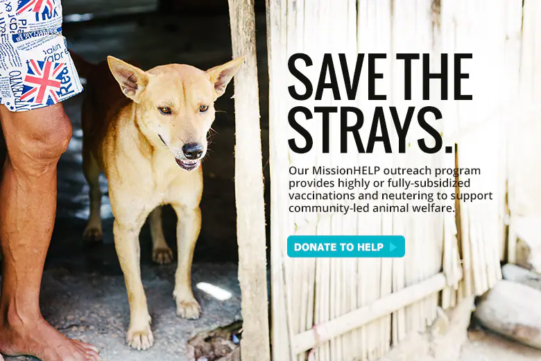MissionHELP: Save The Strays - SPCA Selangor MissionHELP: Save The Strays - SPCA Selangor