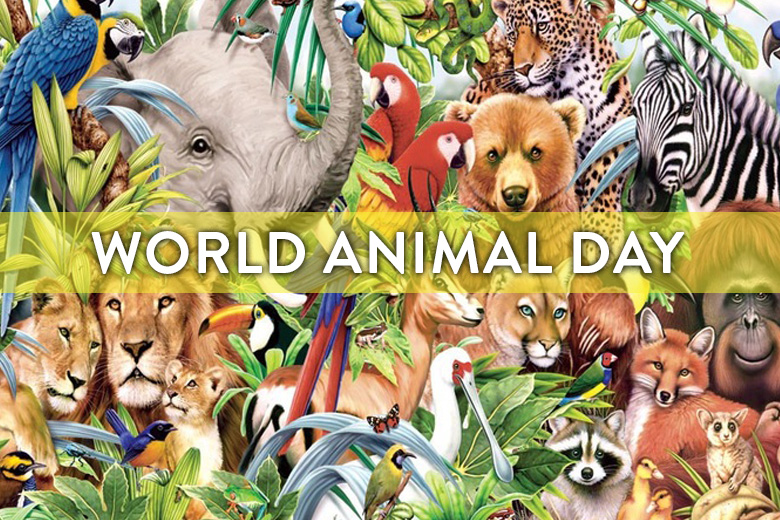 9 Ways To Celebrate World Animal Day! - SPCA Selangor