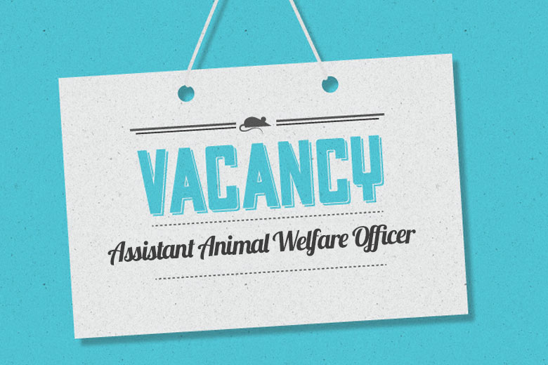 8Apr2015_Vacancy