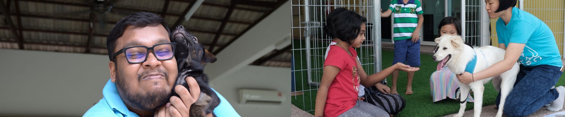 internship spca internship spca