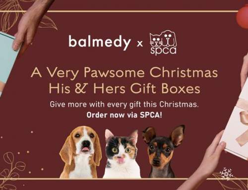 Balmedy: A Very Pawsome Christmas Gift Boxes