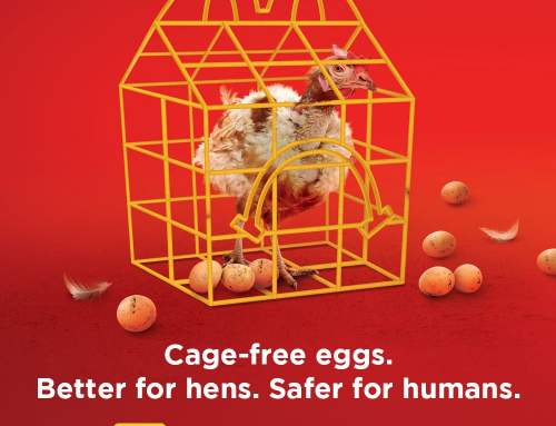 Petition: Ask McDonald’s To Go Cage-Free in Asia!