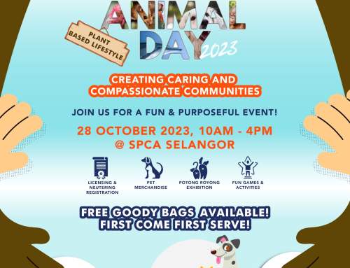 World Animal Day 2023 @ SPCA Selangor!